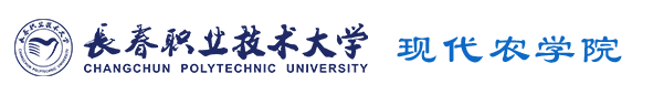 2026足球世界杯网站